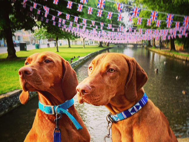 Dog-Friendly Hotel Cotswolds: The Old Stocks Inn, Stow