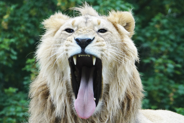 Cotswold Wildlife Park: Cotswold Bucket List, The Old Stocks Inn